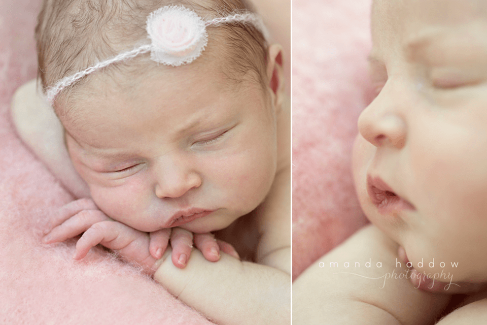 Victoria Bc Newborn Pictures | Newborn And Maternity Photography ...